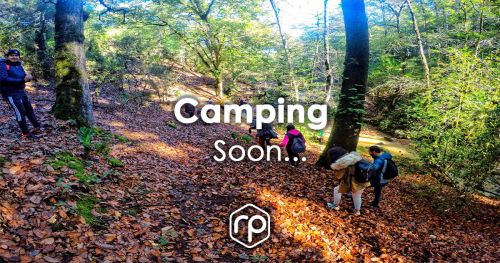 Camping en forêt