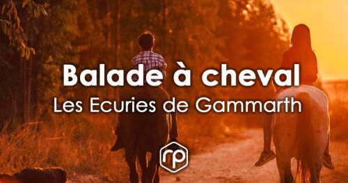 Horseback riding in the forest of Gammarth - Les Ecuries de Gammarth