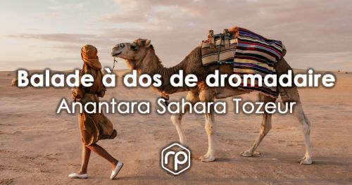 Camel ride in the heart of the Tunisian Sahara - Anantara Sahara Tozeur