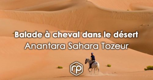 Balade à cheval dans le désert - Anantara Sahara Tozeur