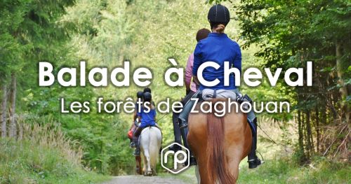 Horseback riding in the forests of Zaghouan