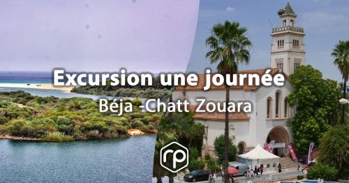 Day trip to Beja and Chatt Zouara - Team Building