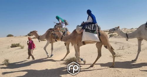 Randonnée à dos de chameau dans le désert du Sahara Tunisien