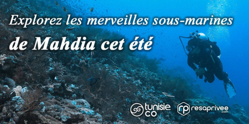 Scuba diving in Mahdia: Explore the seabed this summer!